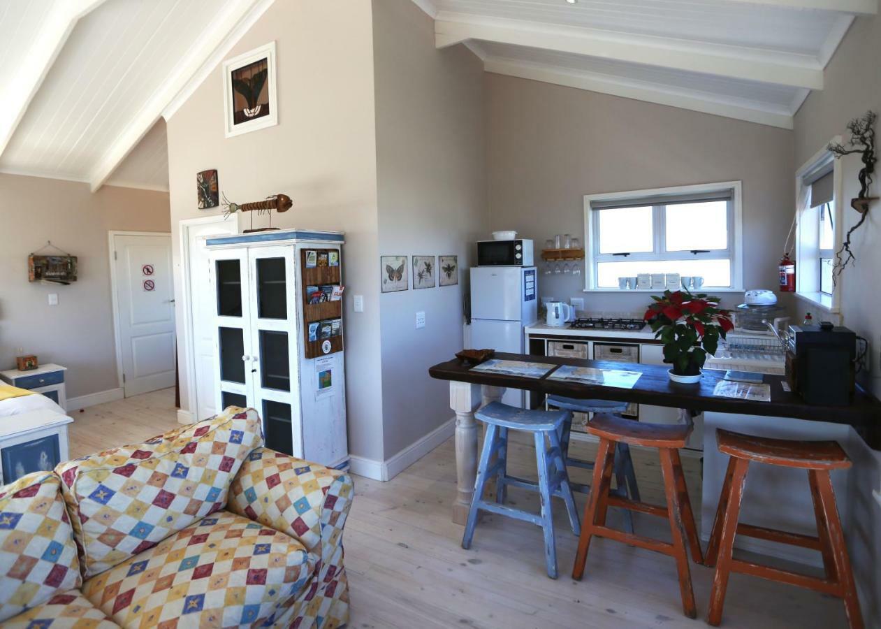 Reddoor Studio Pringle Bay Eksteriør billede
